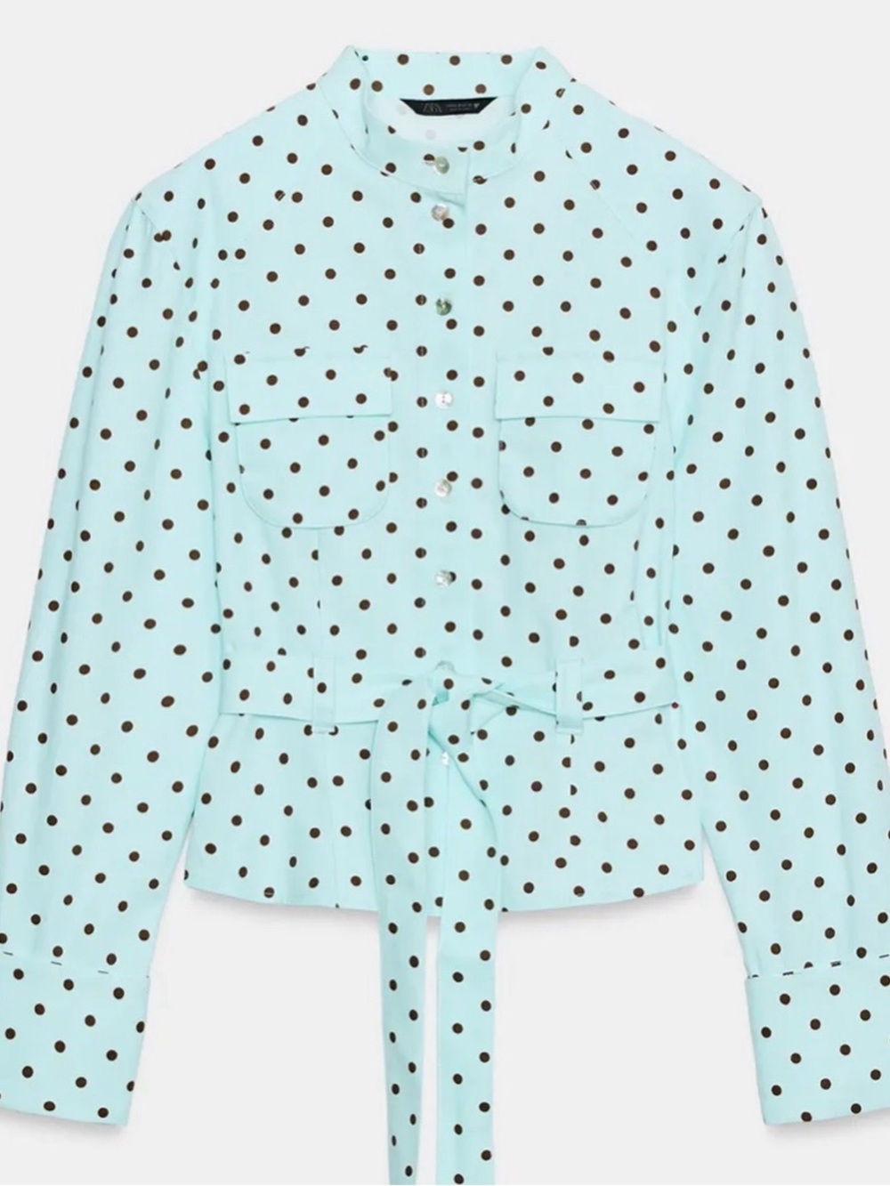 Zara Polka Dot Blouse